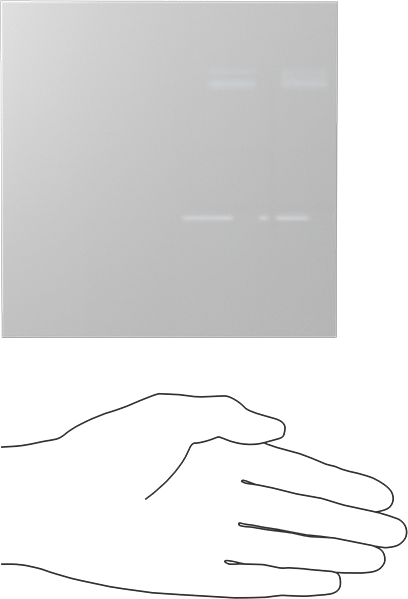 Kimyasala Dayanıklı Slippery Teflon® PTFE Sheet, White, 1/8" Kalınlık, 6" Genişlik, 6" Uzunluk