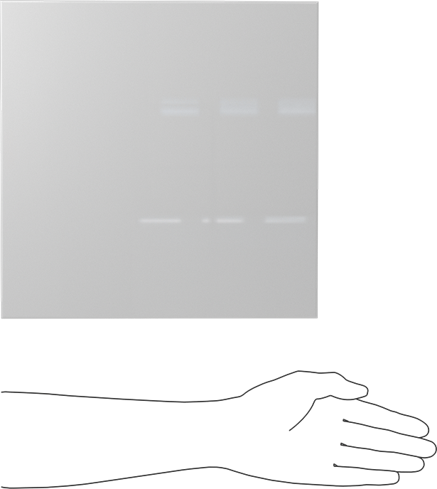 Kimyasala Dayanıklı Slippery Teflon® PTFE Sheet, White, 3/8" Kalınlık, 12" Genişlik, 12" Uzunluk