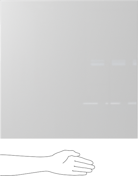 Kimyasala Dayanıklı Slippery Teflon® PTFE Sheet, White, 3/32" Kalınlık, 24" Genişlik, 24" Uzunluk