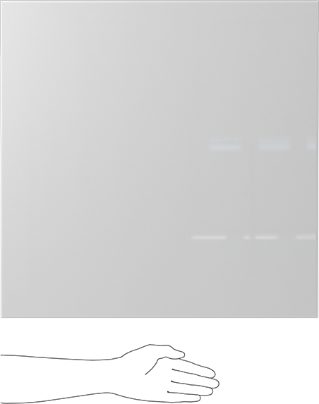 Kimyasala Dayanıklı Slippery Teflon® PTFE Sheet, White, 3/16" Kalınlık, 24" Genişlik, 24" Uzunluk