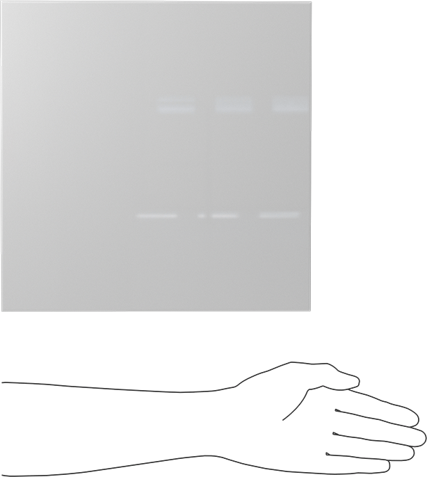 Kimyasala Dayanıklı Slippery Teflon® PTFE Sheet, White, 3/4" Kalınlık, 12" Genişlik, 12" Uzunluk