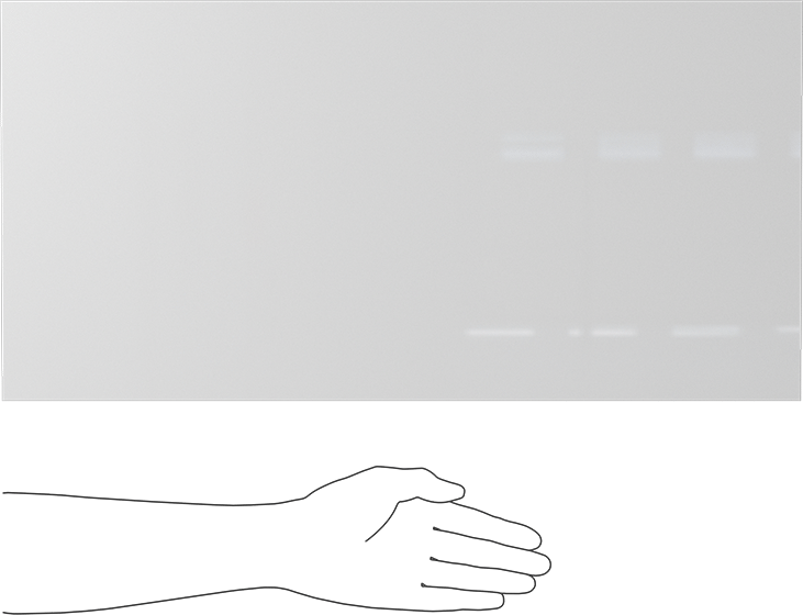 Kimyasala Dayanıklı Slippery Teflon® PTFE Sheet, White, 1" Kalınlık, 12" Genişlik, 24" Uzunluk