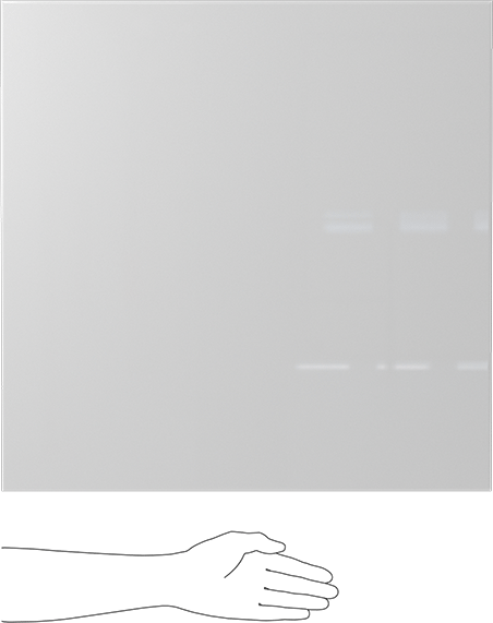 Kimyasala Dayanıklı Slippery Teflon® PTFE Sheet, White, 3/4" Kalınlık, 24" Genişlik, 24" Uzunluk