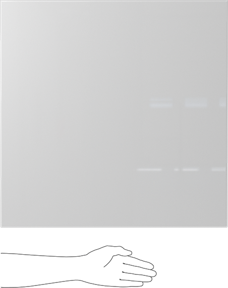 Kimyasala Dayanıklı Slippery Teflon® PTFE Sheet, White, 1" Kalınlık, 24" Genişlik, 24" Uzunluk