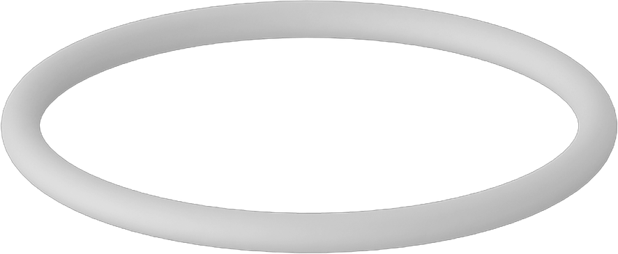 Kimyasala Dayanıklı Yüksek Saflıkta Temiz Oda Viton® Floroelastomer O-Ring, Dash Numarası 022