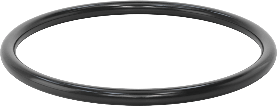 Kimyasala Dayanıklı Floroelastomer O-Ringler, 0.312" Genişlik