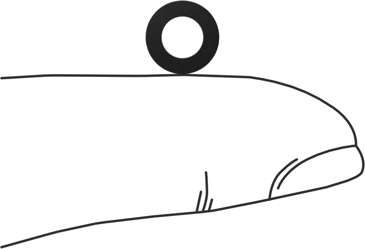 Kimyasala Dayanıklı Viton® Floroelastomer O-Ring, Kare Profilli, 1/16 Kesirli Genişlik, Dash No. 008