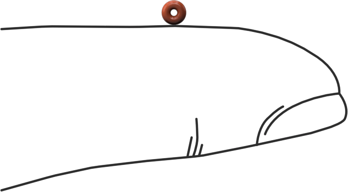 Yüksek Sıcaklık Yumuşak Silikon O-Ring, 1/32 Kesirli Genişlik, Dash Numarası 001