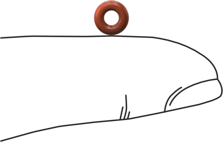 Yüksek Sıcaklık Yumuşak Silikon O-Ring, 1/16 Kesirli Genişlik, Dash Numarası 005