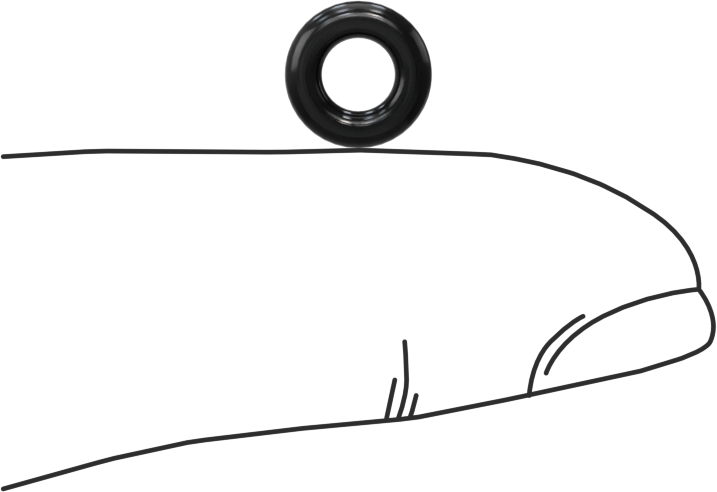 Yağa Dayanıklı Yumuşak Buna-N O-Rings, 2 mm Genişlik, 4 mm İç Çap