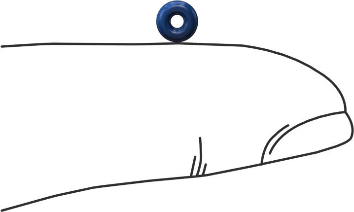 Yağa Dayanıklı Metal ve X-Ray Algılanabilir O-Ring, Buna-N, 1/16 Kesirli Genişlik, Dash Numarası 003