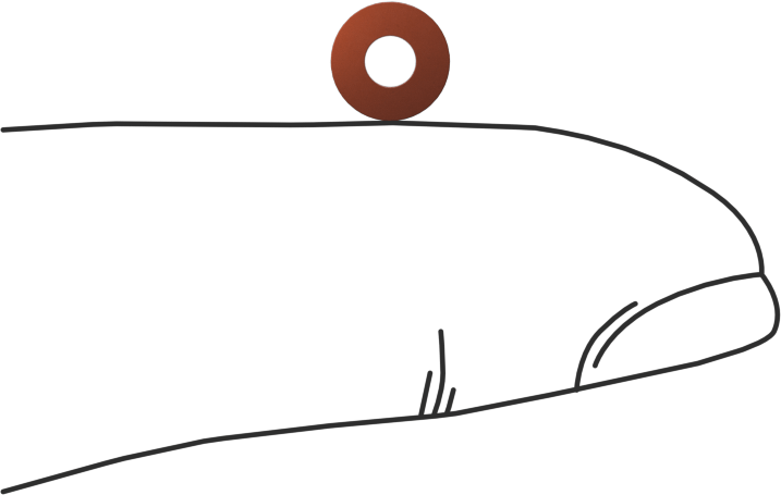 Kare Profilli Yüksek Sıcaklık Silikon O-Ring, 1/16 Kesirli Genişlik, Dash Numarası 005
