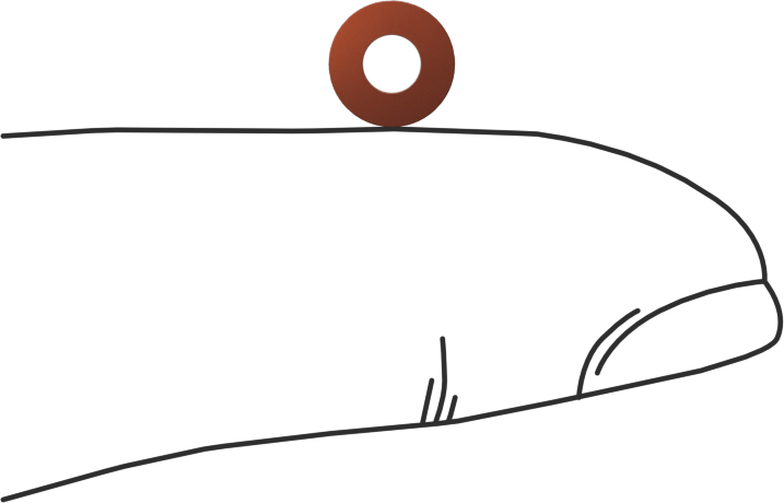Kare Profilli Yüksek Sıcaklık Silikon O-Ring, 1/16 Kesirli Genişlik, Dash Numarası 006