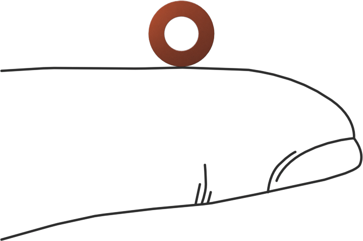 Kare Profilli Yüksek Sıcaklık Silikon O-Ring, 1/16 Kesirli Genişlik, Dash Numarası 007