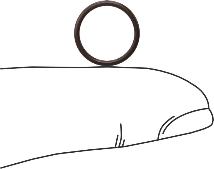 Kimyasala Dayanıklı Viton® Floroelastomer O-Ring, Kahverengi, 1 mm Genişlik, 10 mm İç Çap