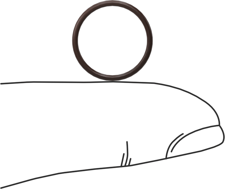 Kimyasala Dayanıklı Viton® Floroelastomer O-Ring, Kahverengi, 1 mm Genişlik, 12 mm İç Çap