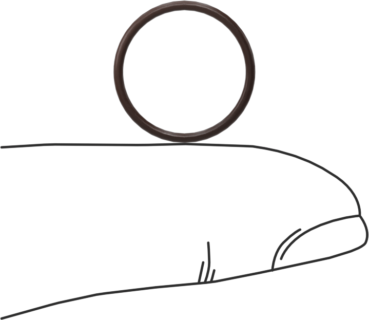 Kimyasala Dayanıklı Viton® Floroelastomer O-Ring, Kahverengi, 1 mm Genişlik, 13 mm İç Çap