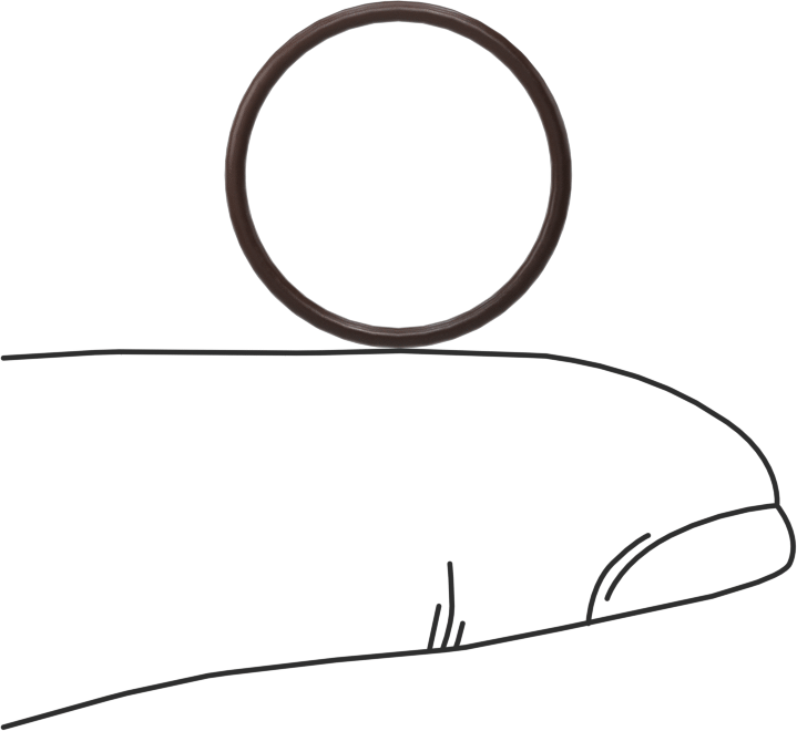 Kimyasala Dayanıklı Viton® Floroelastomer O-Ring, Kahverengi, 1 mm Genişlik, 15 mm İç Çap
