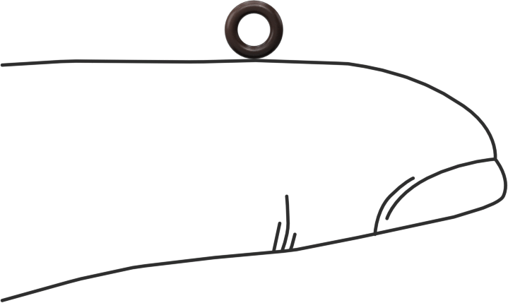 Kimyasala Dayanıklı Viton® Floroelastomer O-Ring, Kahverengi, 1 mm Genişlik, 2.5 mm İç Çap