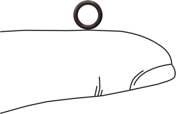 Kimyasala Dayanıklı Viton® Floroelastomer O-Ring, Kahverengi, 1 mm Genişlik, 4.5 mm İç Çap