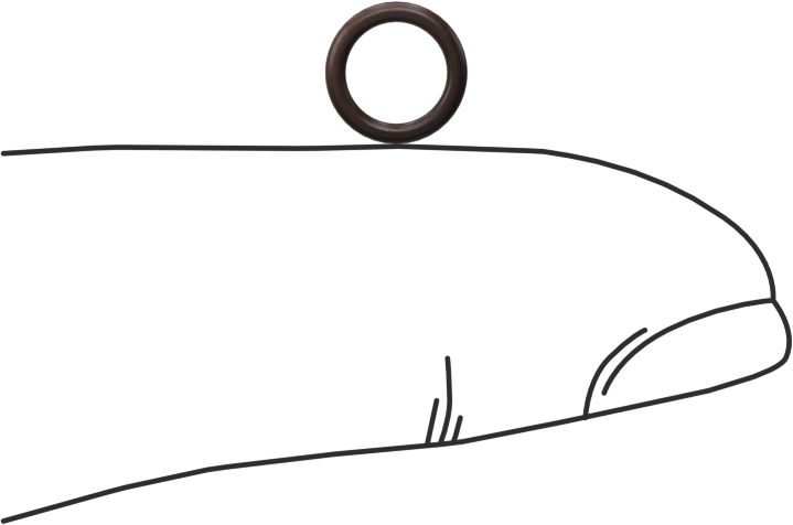 Kimyasala Dayanıklı Viton® Floroelastomer O-Ring, Kahverengi, 1 mm Genişlik, 5 mm İç Çap