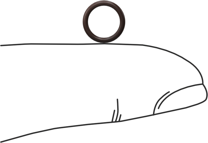 Kimyasala Dayanıklı Viton® Floroelastomer O-Ring, Kahverengi, 1 mm Genişlik, 6 mm İç Çap