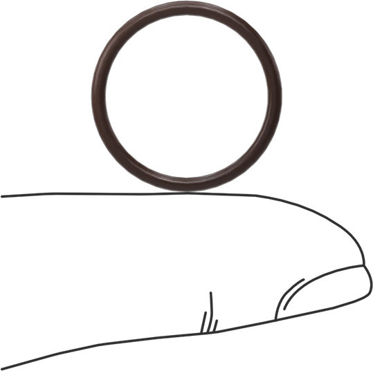 Kimyasala Dayanıklı Viton® Floroelastomer O-Ring, Kahverengi, 1.5 mm Genişlik, 17 mm İç Çap