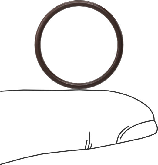 Kimyasala Dayanıklı Viton® Floroelastomer O-Ring, Kahverengi, 1.5 mm Genişlik, 19 mm İç Çap