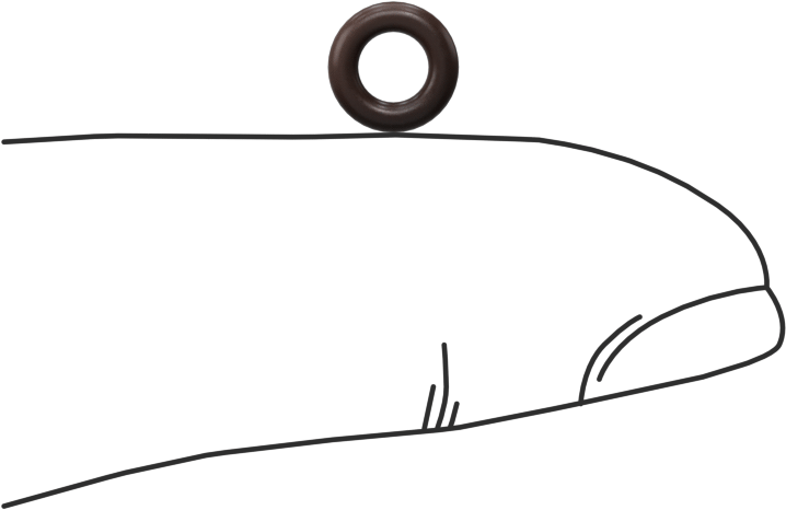 Kimyasala Dayanıklı Viton® Floroelastomer O-Ring, Kahverengi, 1.5 mm Genişlik, 3.5 mm İç Çap