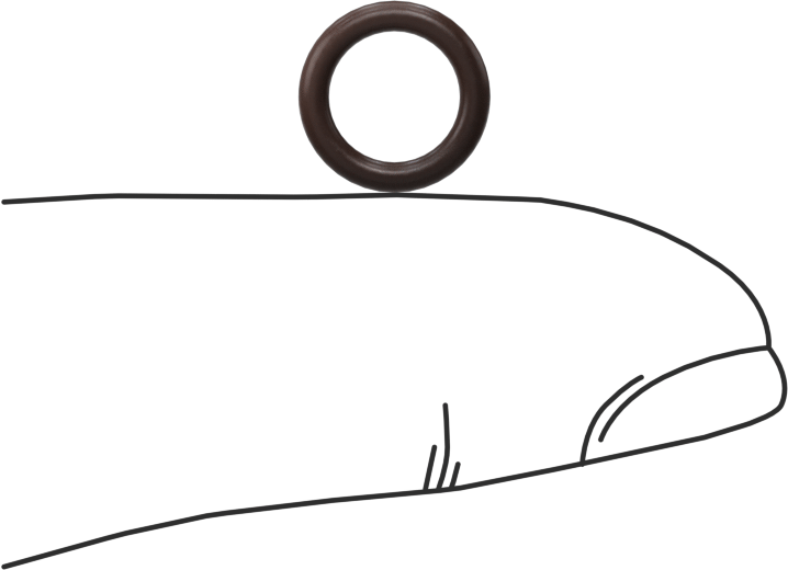 Kimyasala Dayanıklı Viton® Floroelastomer O-Ring, Kahverengi, 1.5 mm Genişlik, 6.5 mm İç Çap