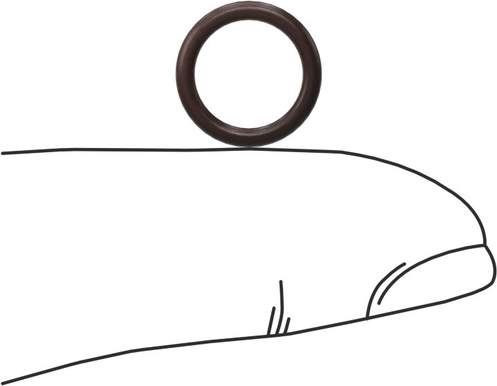 Kimyasala Dayanıklı Viton® Floroelastomer O-Ring, Kahverengi, 1.5 mm Genişlik, 8.5 mm İç Çap