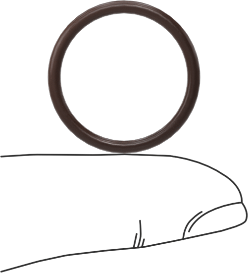 Kimyasala Dayanıklı Viton® Floroelastomer O-Ring, Kahverengi, 2 mm Genişlik, 20 mm İç Çap