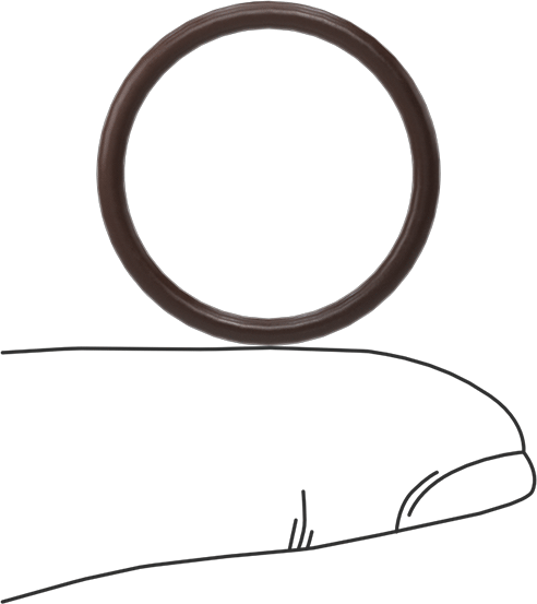 Kimyasala Dayanıklı Viton® Floroelastomer O-Ring, Kahverengi, 2 mm Genişlik, 21 mm İç Çap