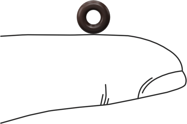 Kimyasala Dayanıklı Viton® Floroelastomer O-Ring, Kahverengi, 2 mm Genişlik, 3 mm İç Çap