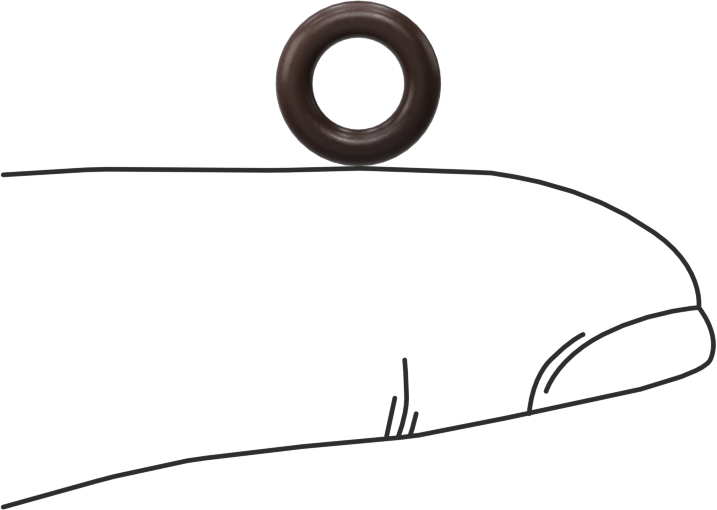 Kimyasala Dayanıklı Viton® Floroelastomer O-Ring, Kahverengi, 2 mm Genişlik, 5 mm İç Çap