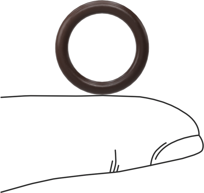 Kimyasala Dayanıklı Viton® Floroelastomer O-Ring, Kahverengi, 2.5 mm Genişlik, 13 mm İç Çap