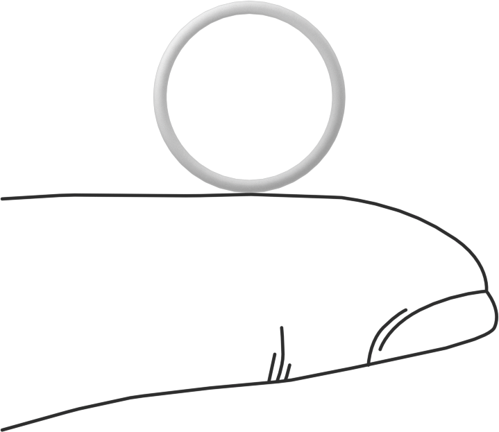 Ultra Kimyasala Dayanıklı Sert PTFE O-Ring, 1 mm Genişlik, 13 mm İç Çap