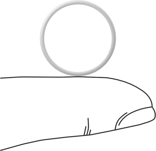 Ultra Kimyasala Dayanıklı Sert PTFE O-Ring, 1 mm Genişlik, 17 mm İç Çap