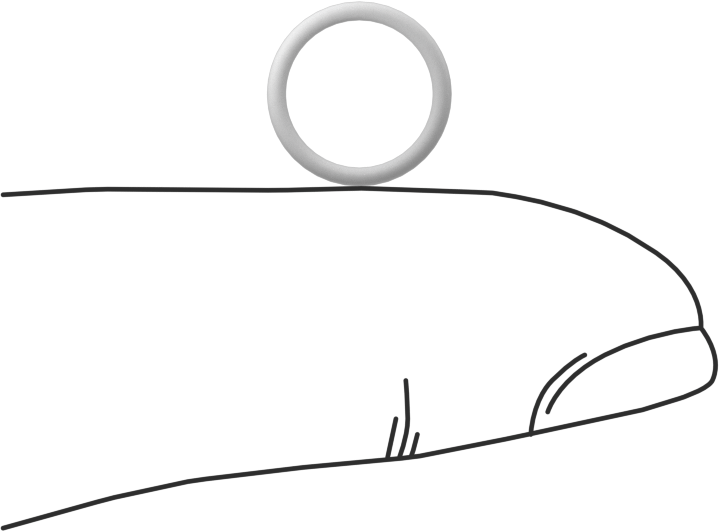 Ultra Kimyasala Dayanıklı Sert PTFE O-Ring, 1 mm Genişlik, 8 mm İç Çap