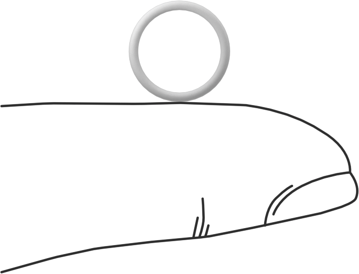 Ultra Kimyasala Dayanıklı Sert PTFE O-Ring, 1 mm Genişlik, 9 mm İç Çap