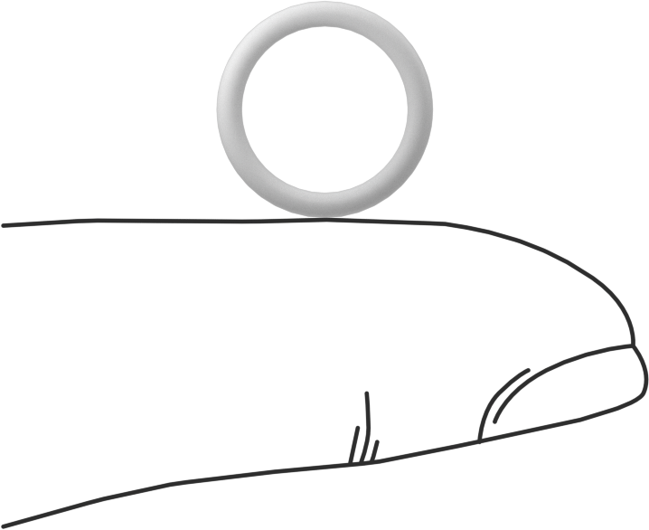 Ultra Kimyasala Dayanıklı Sert PTFE O-Ring, 1.5 mm Genişlik, 10 mm İç Çap