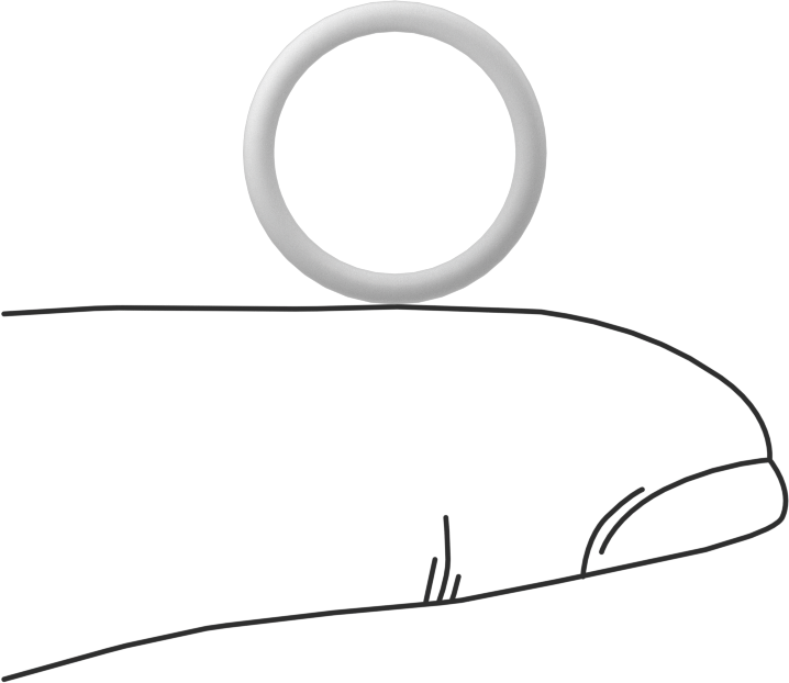 Ultra Kimyasala Dayanıklı Sert PTFE O-Ring, 1.5 mm Genişlik, 12 mm İç Çap