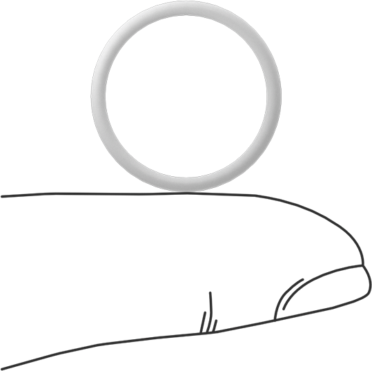 Ultra Kimyasala Dayanıklı Sert PTFE O-Ring, 1.5 mm Genişlik, 17 mm İç Çap