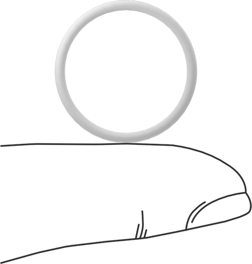 Ultra Kimyasala Dayanıklı Sert PTFE O-Ring, 1.5 mm Genişlik, 19 mm İç Çap