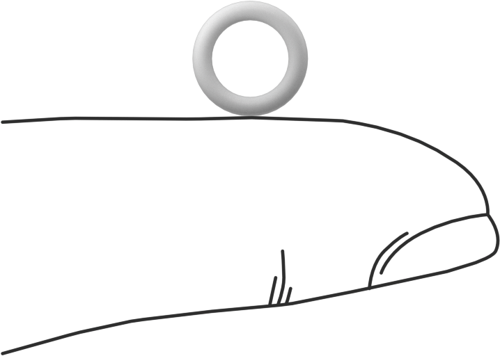 Ultra Kimyasala Dayanıklı Sert PTFE O-Ring, 1.5 mm Genişlik, 6 mm İç Çap