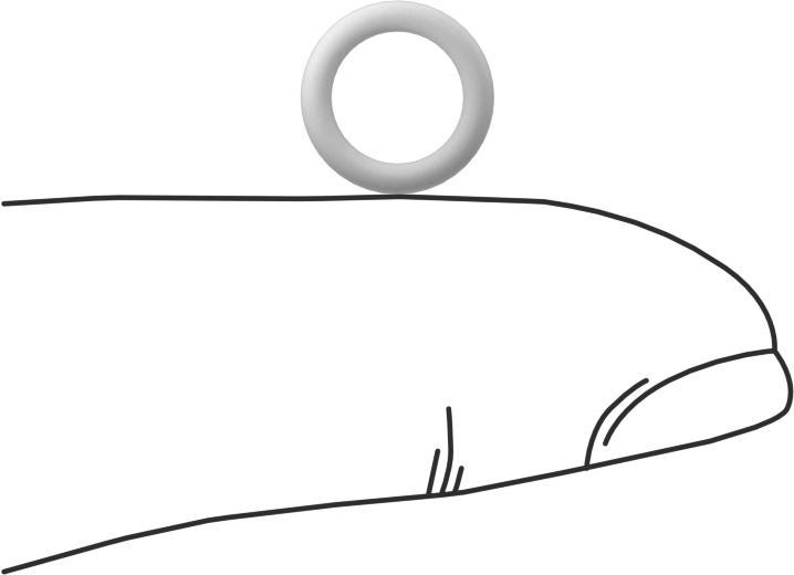 Ultra Kimyasala Dayanıklı Sert PTFE O-Ring, 1.5 mm Genişlik, 6.5 mm İç Çap