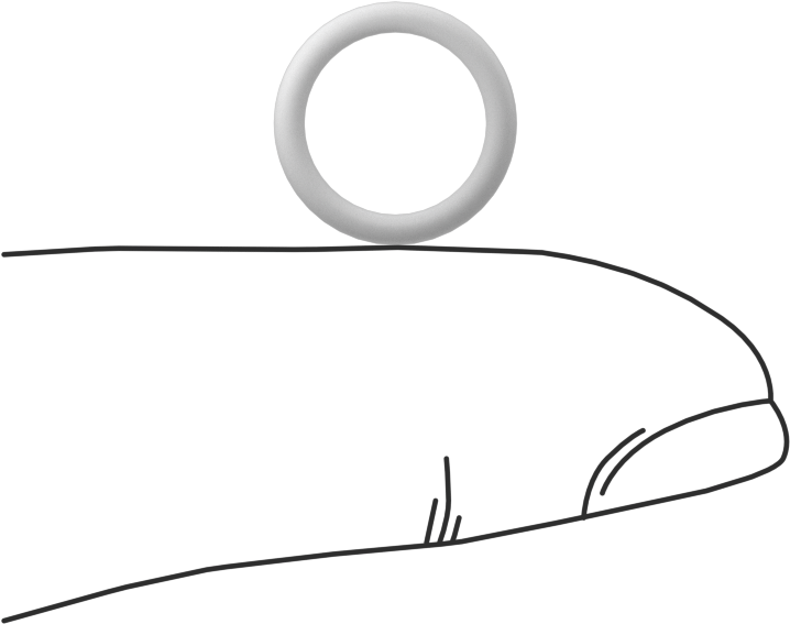 Ultra Kimyasala Dayanıklı Sert PTFE O-Ring, 1.5 mm Genişlik, 9 mm İç Çap