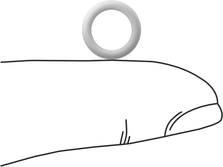 Ultra Kimyasala Dayanıklı Sert PTFE O-Ring, 1.6 mm Genişlik, 7.1 mm İç Çap