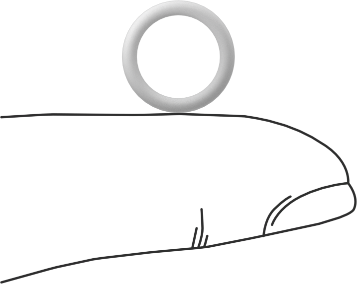 Ultra Kimyasala Dayanıklı Sert PTFE O-Ring, 1.6 mm Genişlik, 9.1 mm İç Çap