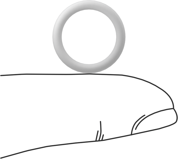 Ultra Kimyasala Dayanıklı Sert PTFE O-Ring, 2 mm Genişlik, 12 mm İç Çap